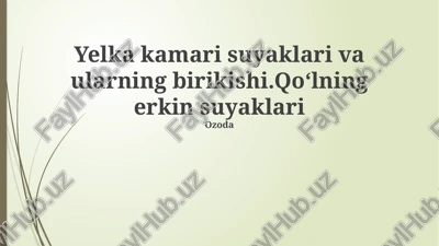chanoq suyaklari anatomiyasi — PPTX