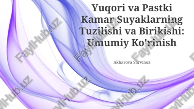 yuqori va pastki kamar suyaklarning tuzilishi va birikishi: umumiy ko'rinish — PPTX
