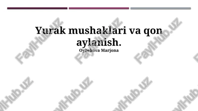yurak mushaklari va qon aylanish — PPTX