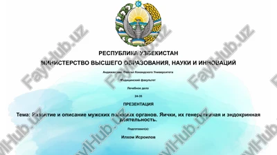 razvitie i opisanie mujskix polovix organov — PPTX