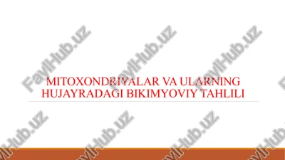 mitoxondriyalar va ularning hujayradagi bikimyoviy tahlili — PPTX