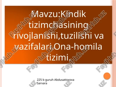 kindiktizimchasining rivojlanish bosqichlari — PPTX