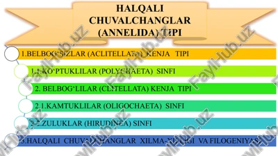 halqali chuvalchanglar (annelida)tipi — PPTX