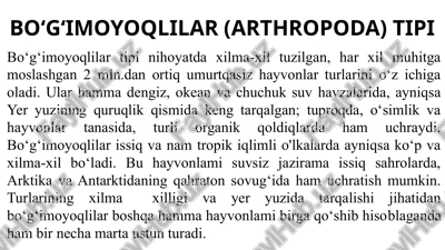 bo‘g‘imoyoqlilar (arthropoda) tipi — PPTX