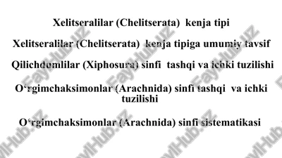 xelitseralilar (chelitserata) kenja tipi — PPTX