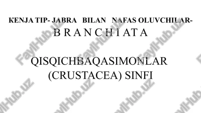 qisqichbaqasimonlar (crustacea) sinfi — PPTX