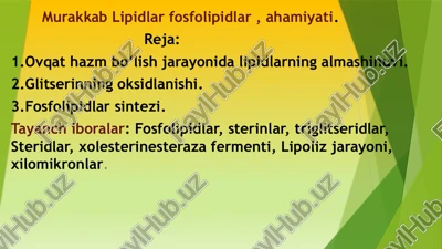 murakkab lipidlar fosfolipidlar , ahamiyati — PPTX