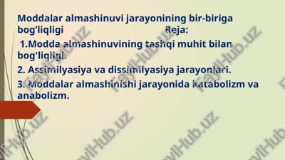 moddalar almashinuvi jarayonining bir-biriga bog’liqligi — PPTX