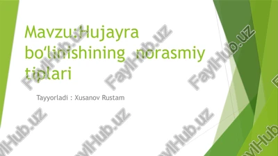 hujayra boʻlinishining norasmiy tiplari — PPTX