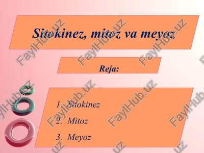 sitokinez, mitoz va meyoz — PPTX