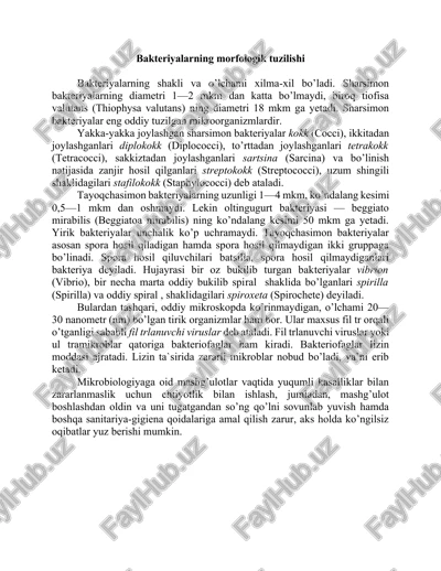 bakteriyalarning morfologik tuzilishi — DOCX