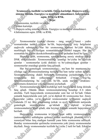 xramosoma, tuzilishi va tarkibi — DOCX