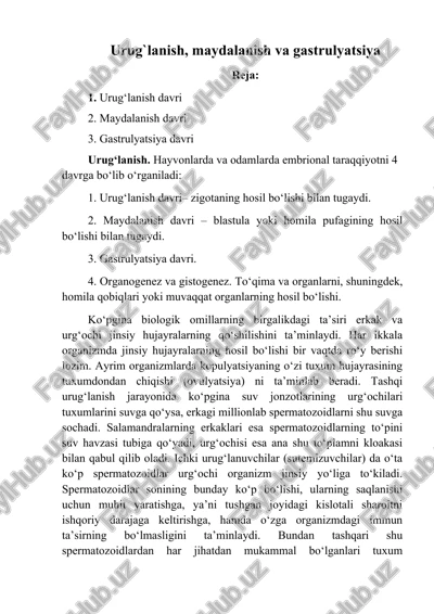 urug`lanish, maydalanish va gastrulyatsiya — DOCX