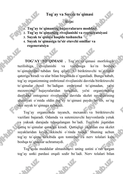 tog`ay va suyak to`qimasi — DOCX