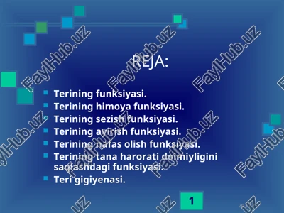 terining funksiyasi — PPT