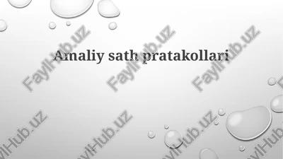amaliy sathlari protokollari — PPTX