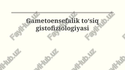 gameto-ensefalik to'siq gistofiziologiyasi — PPTX