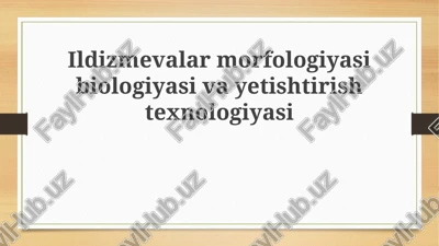 ildiz mevalarning morfologiyasi va biologiyasi — PPTX