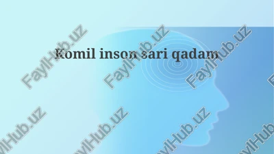 mukammallikka yo'l — PPTX