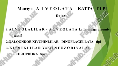 alveolat akattatipi — PPTX