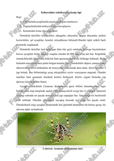 xeliseralılar (chelicerata) kenje tipi — DOCX
