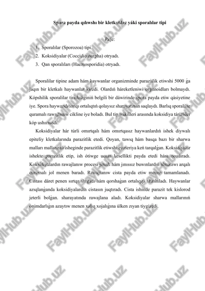 sporalılar tipi — DOCX