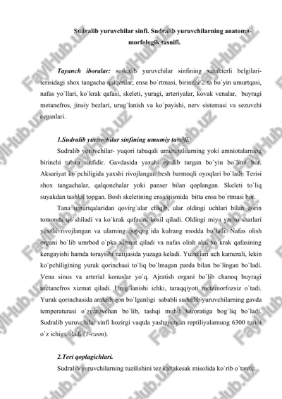 sudralib yuruvchilar sinfi — DOC