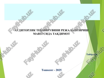 auditorlik tekshiruvini rejalashtirish — PPT