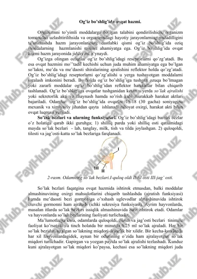 og’iz bo’shlig’ida ovqat hazmi — DOCX