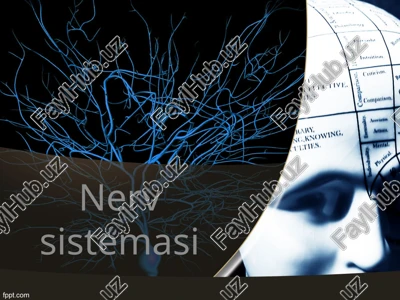 nervsistemasi — PPTX