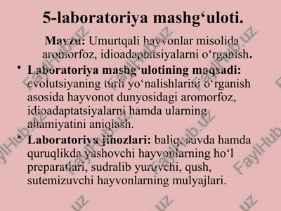 5-laboratoriyamashg‘uloti — PPTX