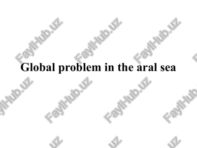 global problem in the aral sea — PPTX