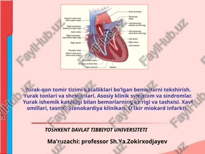 yurak-qon tomir tizimi kasalliklari — PPT
