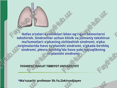 nafas a’zolari kasalliklari bilan og'rigan bemorlarni tekshirish — PPT