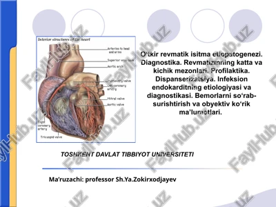 revmatizmning etiopatogenezi — PPTX