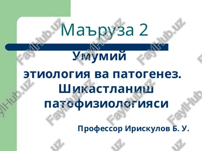 ma'ruza2 — PPT