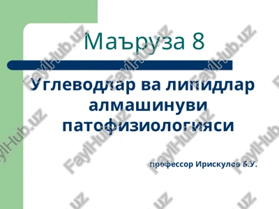 ma'ruza8 — PPT
