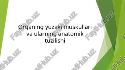 orqaning yuzaki muskullari va ularning anatomik tuzilishi — PPTX