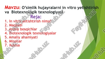 o’simlik hujayralarini vitro yetishtirish va biotexnologik texnologiyasi — PPTX