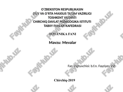 mevalar — PPTX