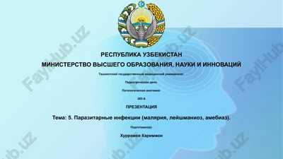 pediatricheskoe delo — PPTX
