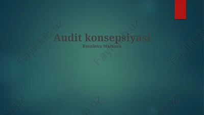 audit konsepsiyasi — PPTX