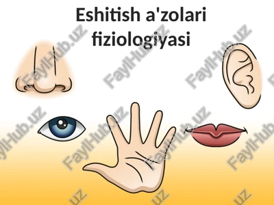 eshitisha'zolarifiziologiyasi — PPTX