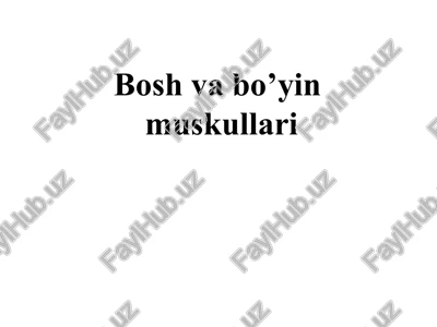 bo’yinmuskullari — PPTX