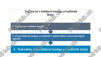tug'ma ko'r bolalarni kasbga yo'naltirish — PPTX