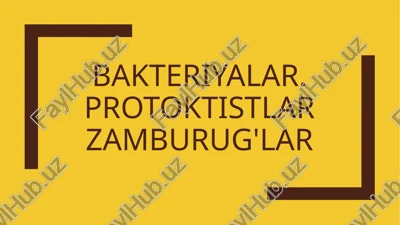 bakteriyalar.protoktistlarzamburug'lar — PPTX