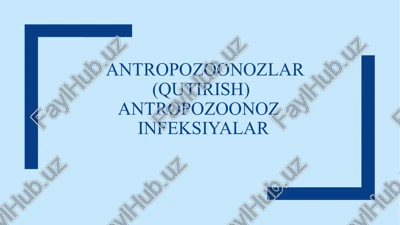 antropozoonozlar(qutirish)antropozoonozinfeksiyalar — PPTX