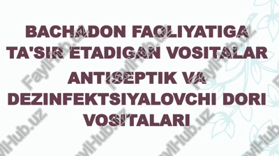 bachadon homilaning ritmik qisqarishi — PPTX