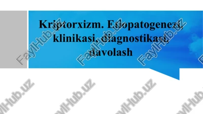 kriptorxizm — PPTX
