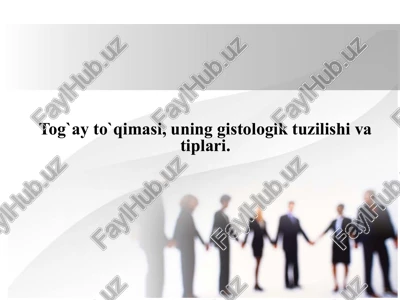 tog`ay to`qimasi. gistologiya — PPTX